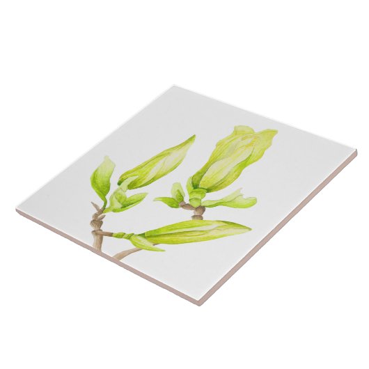 Gelbe Magnolien auf einer Keramik (2W) Fliese (Seite)