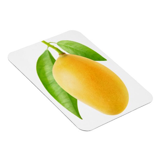 Gelbe Mango Magnet (Rechte Seite)
