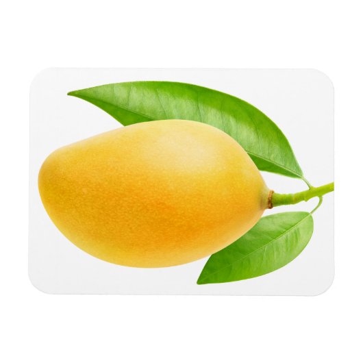 Gelbe Mango Magnet (Horizontal)