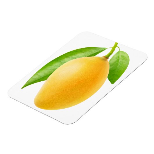 Gelbe Mango Magnet (Linke Seite)