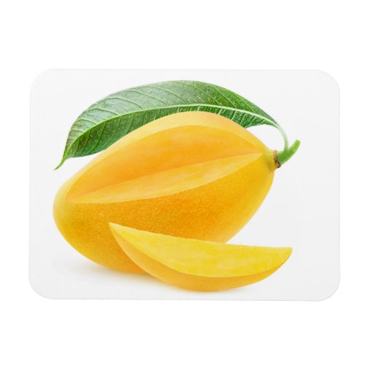 Gelbe Mango schneiden Magnet (Horizontal)