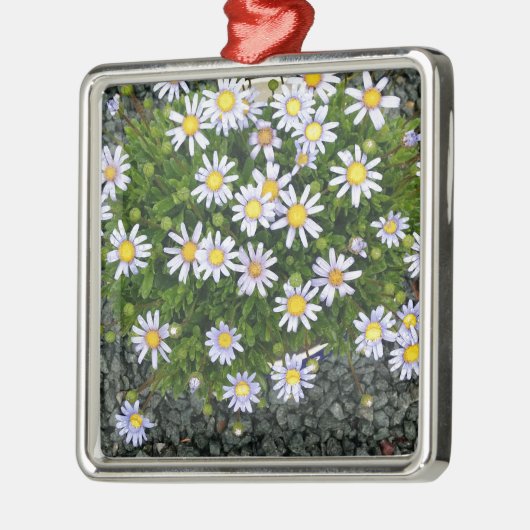 Gelbe Margarita-Blume mit grauen Kies Silbernes Ornament (Links)