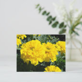 Gelbe Marigold-Blume Postkarte (Stehend Vorderseite)