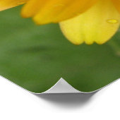 Gelbe Marigold Macro Print Poster (Ecke)