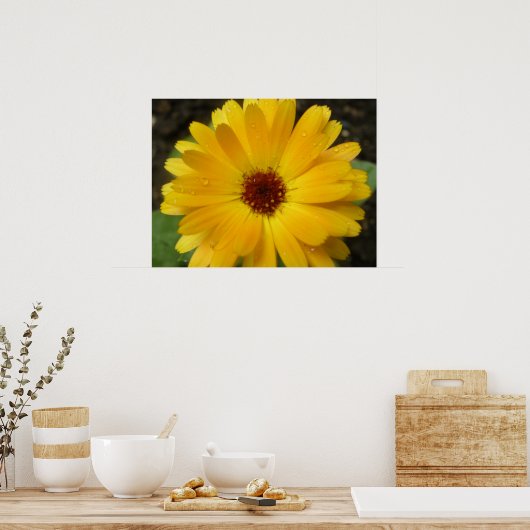 Gelbe Marigold Macro Print Poster (Küche)