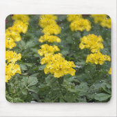 Gelbe Marigold mit Raindrops-Mauspad Mousepad (Vorne)