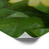 Gelbe Marigold Print Poster (Ecke)