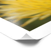 Gelbe Mäuse Fotodruck (Ecke)