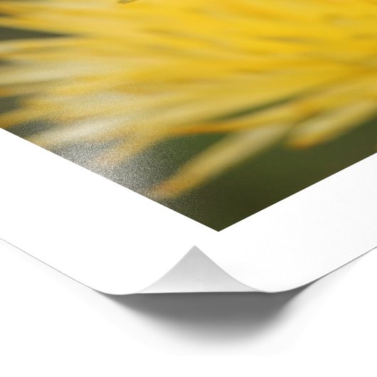 Gelbe Mäuse Fotodruck (Ecke)