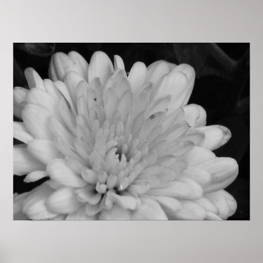 Gelbe Mäuse Poster (Vorne)