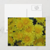 Gelbe Mäuse Postkarte (Vorne/Hinten)