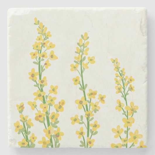 Gelbe, moderne Citrine Blumenblüten Steinuntersetzer (Vorderseite)