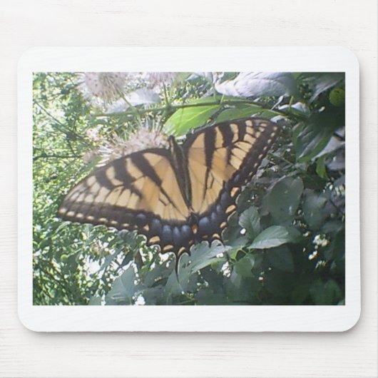 Gelbe Monarch Sommer Mousepad (Vorne)