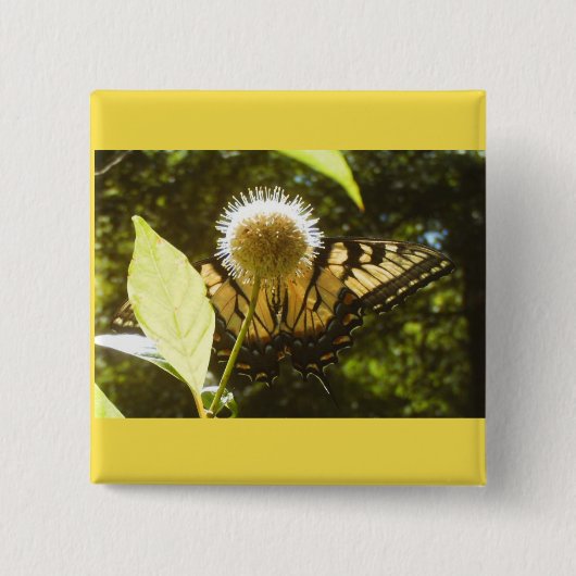 Gelbe Monarchknopf Button (Vorderseite)
