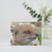 Gelbe Mönche Postkarte (Stehend Vorderseite)