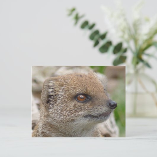 Gelbe Mönche Postkarte (Stehend Vorderseite)