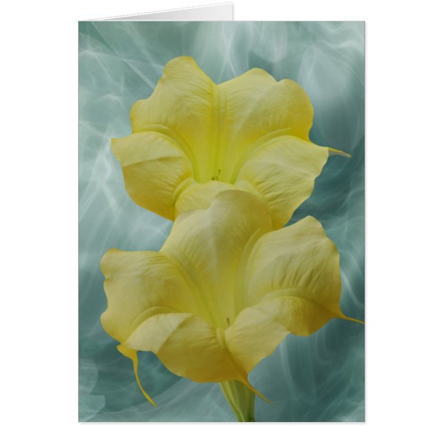 Gelbe Mond-Blume (Vorne)