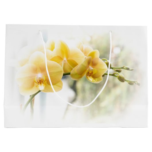 Gelbe Moth Orchid im Sonnenschein Große Geschenktüte (Rückseite)