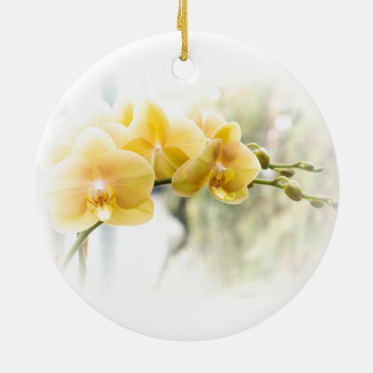 Gelbe Moth Orchid im Sonnenschein Keramik Ornament (Hinten)