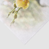 Gelbe Motten-Orchidee im Sonnenschein Seidenpapier (Ausschnitt)