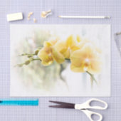 Gelbe Motten-Orchidee im Sonnenschein Seidenpapier (Handwerk)