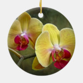 Gelbe Motten-Orchideen - Phalaenopsis Keramikornament (Hinten)