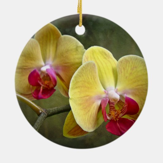 Gelbe Motten-Orchideen - Phalaenopsis Keramikornament (Hinten)