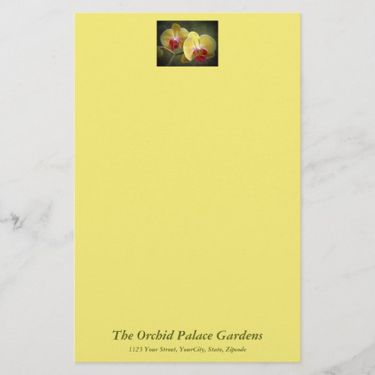 Gelbe Mottenorchien - Phalaenopsis Briefpapier (Vorderseite)