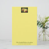 Gelbe Mottenorchien - Phalaenopsis Briefpapier (Stehend Vorderseite)