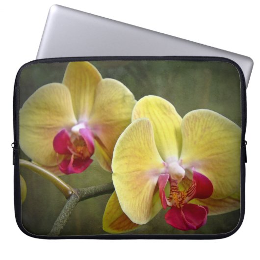 Gelbe Mottenorchien - Phalaenopsis Laptopschutzhülle (Vorderseite)