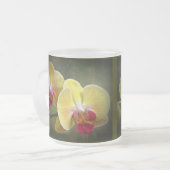 Gelbe Mottenorchien - Phalaenopsis Mattglastasse (Vorderseite Links)