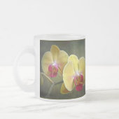 Gelbe Mottenorchien - Phalaenopsis Mattglastasse (Links)