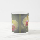 Gelbe Mottenorchien - Phalaenopsis Mattglastasse (Mittel)