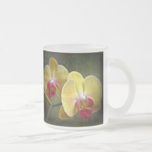 Gelbe Mottenorchien - Phalaenopsis Mattglastasse