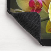 Gelbe Mottenorchien - Phalaenopsis Mousepad (Ecke)