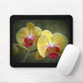Gelbe Mottenorchien - Phalaenopsis Mousepad (Mit Mouse)