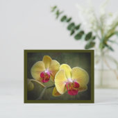 Gelbe Mottenorchien - Phalaenopsis Postkarte (Stehend Vorderseite)