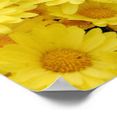 Gelbe Mums Foto drucken Poster (Ecke)