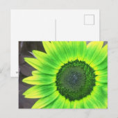 Gelbe N Grüne Sonnenblume Postkarte (Vorne/Hinten)
