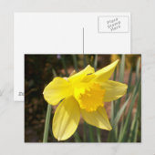 Gelbe Nadel Postkarte (Vorne/Hinten)