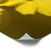 Gelbe Nadelhölzer und Blume Poster (Ecke)