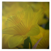 Gelbe Narzellen Keramik Fliese (Vorderseite)