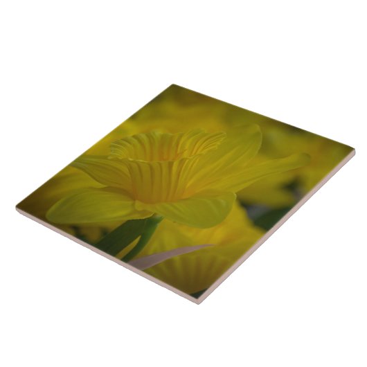 Gelbe Narzellen Keramik Fliese (Seite)