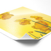 Gelbe Narzisse Daffodil Fotodruck (Ecke)