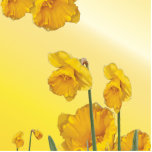 Gelbe Narzisse Daffodil Fotoskulptur Ornament<br><div class="desc">Gelbe Narzisse Daffodil</div>