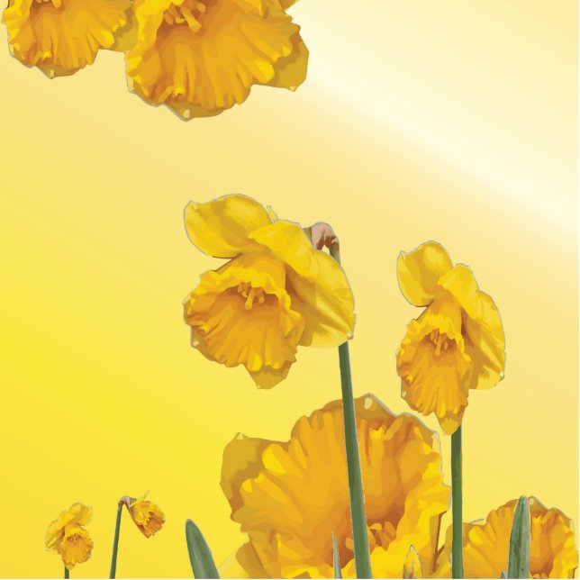 Gelbe Narzisse Daffodil Fotoskulptur Ornament (Vorne)