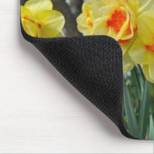 Gelbe Narzisse Mousepad (Ecke)