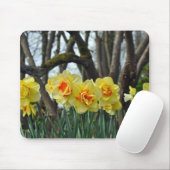 Gelbe Narzisse Mousepad (Mit Mouse)