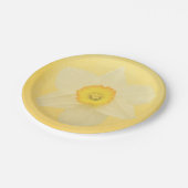 Gelbe Narzisse Pappteller (Schrägansicht)