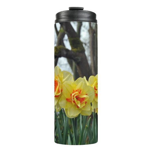 Gelbe Narzisse Thermosbecher (Vorderseite)